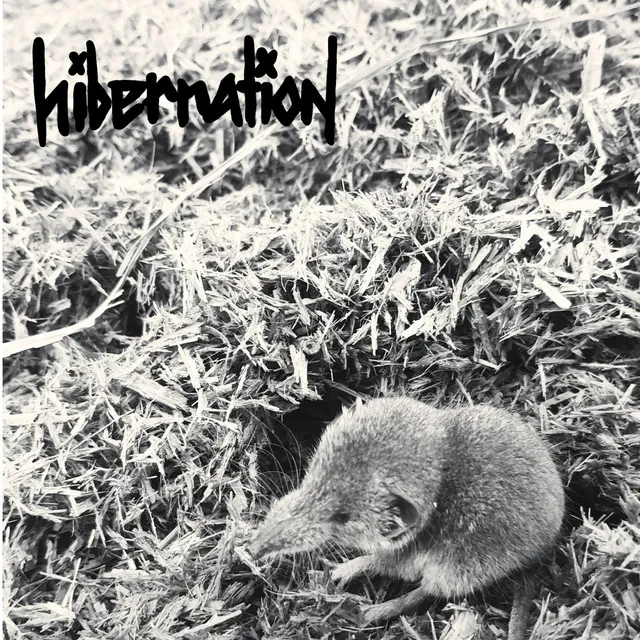 EP-Cover „Krach“ von Hibernation