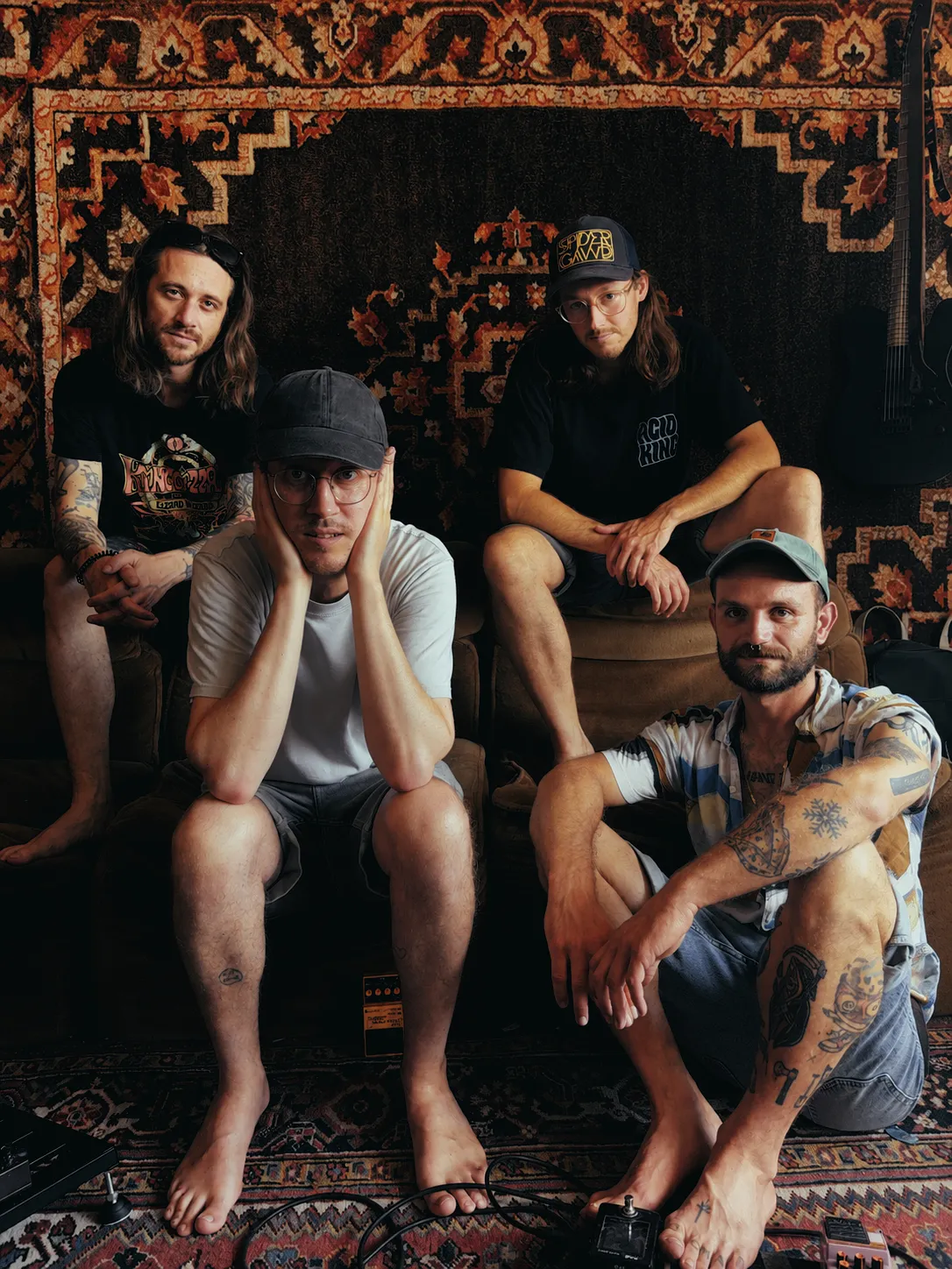 Hibernation — Bandfoto 1